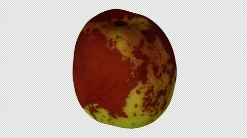 Rotating Jujube on Transparent Background (Looping with Alpha Channel) Stock Footage 147556928