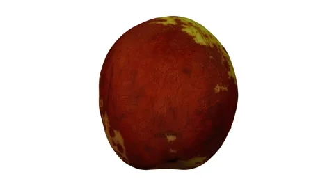 Rotating Jujube White Background (Looping) Stock Footage 147557883