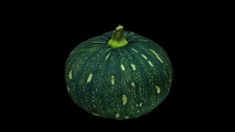 Rotating Kabocha Squash on Transparent Background (Alpha Channel) Stock Footage 80886418