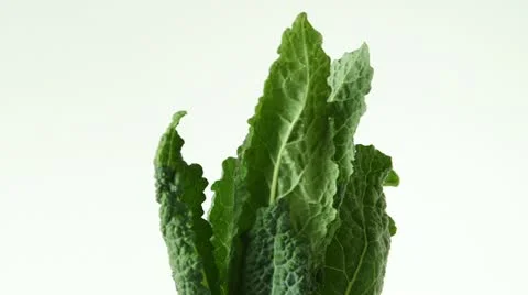 Rotating kale 库存影片 18404926