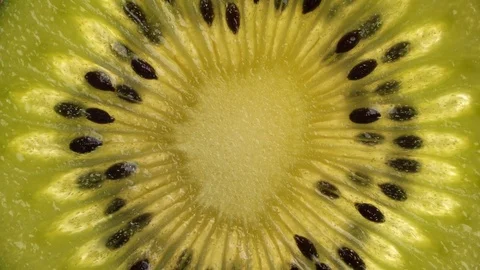 Rotating kiwi slice Stock Footage 71535832