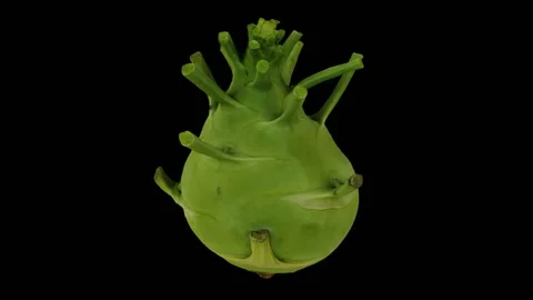 Rotating Kohlrabi on Black Background (Looping) Stock Footage 147559050