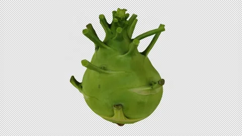 Rotating Kohlrabi on Transparent Background (Looping with Alpha Channel) Stock Footage 147558795