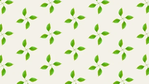 Rotating Leaf Pattern Background with Gentle Organic Motion Seamless Loop Stockbeeldmateriaal 330275960