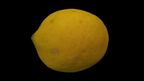Rotating Lemon on Black Background | Stock Video | Pond5
