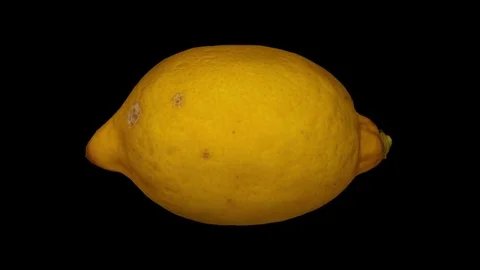 Rotating Lemon on Black Background Video stock 80586227
