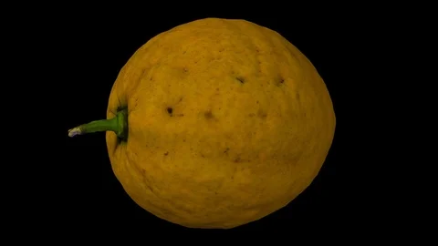 Rotating Lemon on Black Background (Looping) Stock Footage 93377619