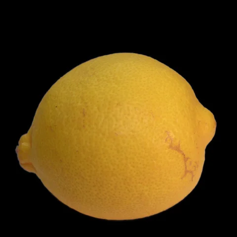 Rotating Lemon with Scar: Seamless Loop transparent Background [25 FPS] Stock Footage 283917976