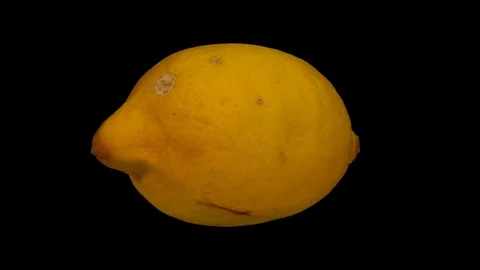 Rotating Lemon on Transparent Background (Alpha Channel) Stock Footage 80808533