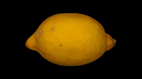 Rotating Lemon on Transparent Background  (Alpha Channel) Stock Footage 80809497