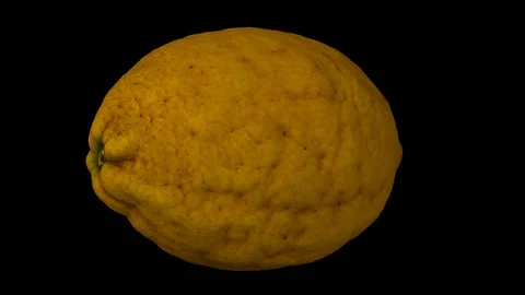 Rotating Lemon on Transparent Background (Alpha Channel) Stock Footage 93341180