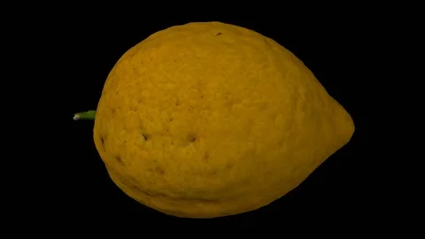 Rotating Lemon on Transparent Background (Looping with Alpha Channel) Stock Footage 93335770