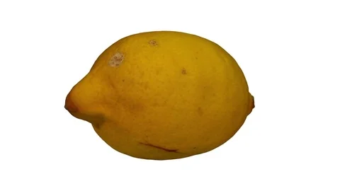 Rotating Lemon on White Background Stock Footage 80586302