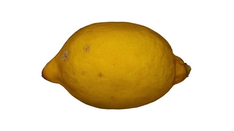 Rotating Lemon on White Background Stock Footage 80586929