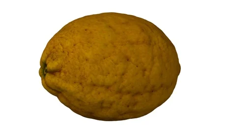 Rotating Lemon on White Background Stock Footage 93377588