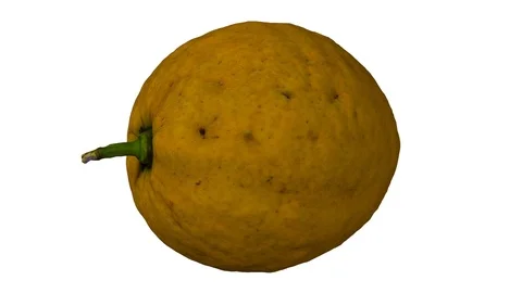 Rotating Lemon on White Background (Looping) Stock Footage 93377650