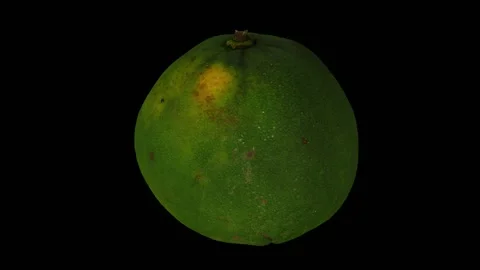 Rotating Lime on Black Background (Looping) Stock Footage 146718754