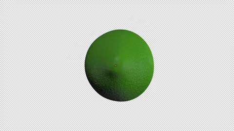 Rotating lime slices Stock Footage 288803427