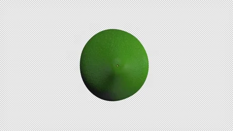Rotating lime wedge Stock Footage 288803422