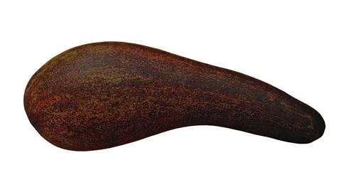 Rotating Long Neck Avocado on White Background (Looping) Stock Footage 146670957