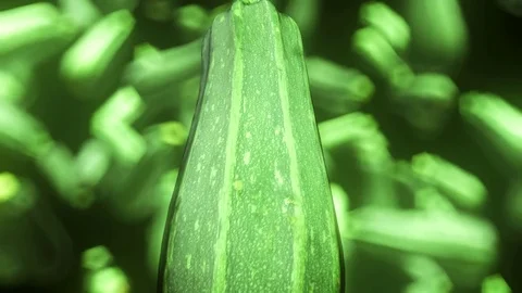 Rotating Long Zucchini Floating Against an Out of Focus Background 库存影片 72299627
