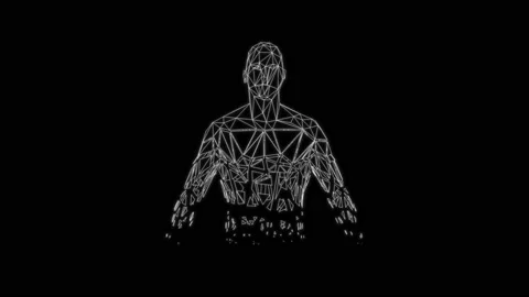 Rotating low poly 3d Human Female and Male figures formed by white lines loop Video stock 167642912