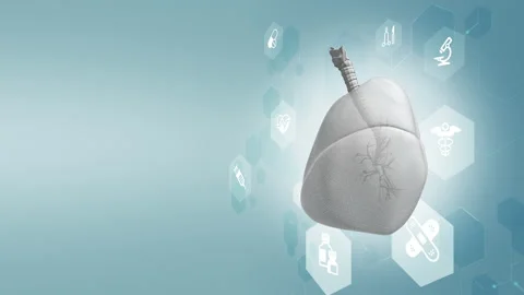 Rotating Lungs Stock Footage 166917558