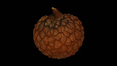 Rotating Lychee on Transparent Background (Looping with Alpha Channel) Stock Footage 97747441