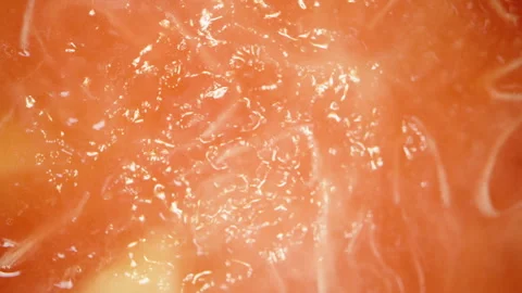 Rotating Macro Close-Up of Pink Guava Flesh Showing Juicy Translucent Texture Stock Footage 311027173