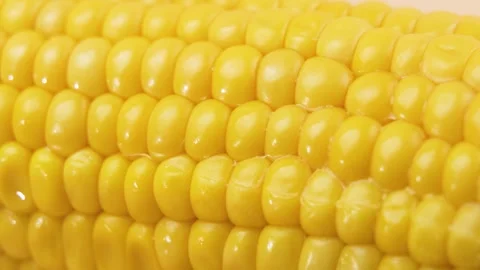 Rotating macro detail of corn kernels forming a natural geometric pattern. Stock Footage 326638231
