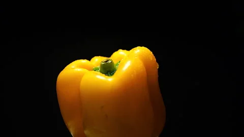 Rotating macro lens Side View of Yellow Pepper in 50p Stock Footage 337642555