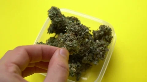 Rotating macro product shot of high quality marijuana buds SLOW MOTION Stock Footage 87971948