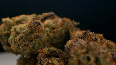 Rotating Macro Product Shot Of High Quality Weed, Trichomes Stock Footage 218460411