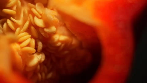 Rotating Macro Top View of Red Pepper Seeds in 50p Stock Footage 337642489