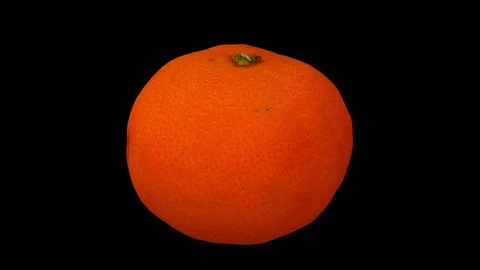 Rotating Mandarin Orange on Black Background (Looping) Stock Footage 98474929