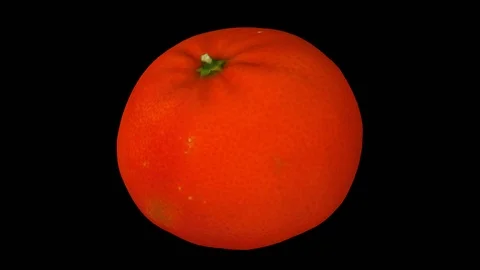 Rotating Mandarin Orange on Transparent Background (Looping with Alpha Channel) Stock Footage 98475383