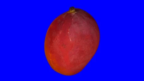Rotating Mango on Blue Background (Looping) Stock Footage 93377706