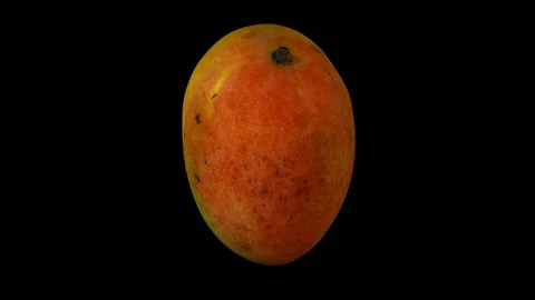 Rotating Mango on Transparent Background (Looping with Alpha Channel) Stock Footage 93375878