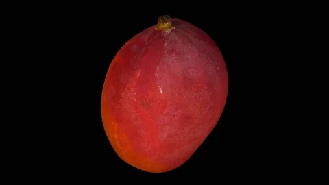 Rotating Mango on Transparent Background (Looping with Alpha Channel) Stock Footage 93375992