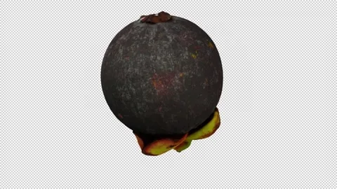 Rotating Mangosteen on Transparent Background (Looping with Alpha Channel) Stock Footage 151228178