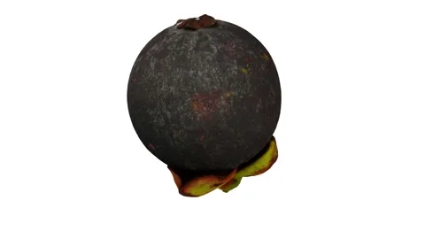 Rotating Mangosteen on White Background (Looping) Stock Footage 151229540