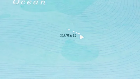A Rotating Map Centered on Hawaii. Stock Footage 243444962