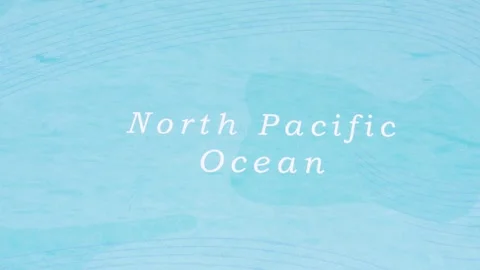 A Rotating Map Centered on North Pacific Ocean. Stock Footage 243446157