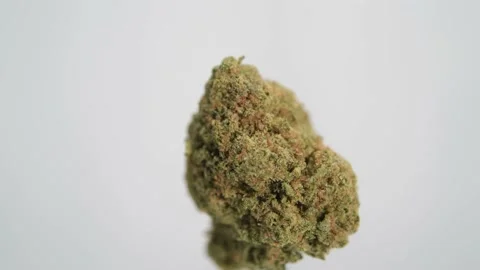 Rotating of the Marijuana Single Bud on White Stock Footage 163936608