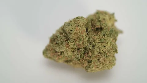 Rotating of the Marijuana Single Bud on White Stock Footage 163936609