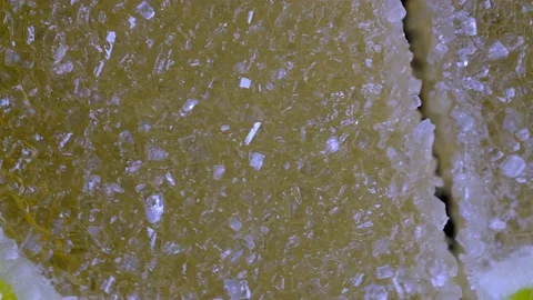 Rotating marmalade in form of lemon slices in sugar Stockbeeldmateriaal 218317769