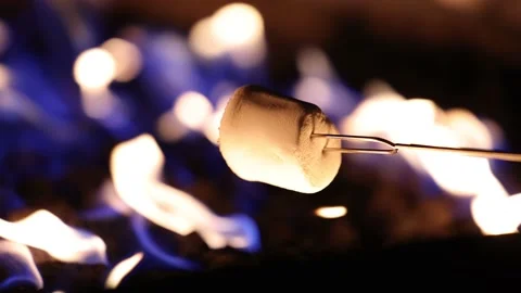 Rotating Marshmallow Over Large Fire Slow Motion Close Up Stock-Footage 167738966