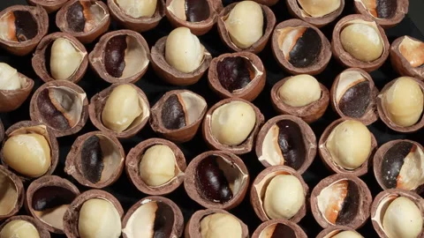 Rotating Medium Shot Pattern of Cracked Macadamia Nuts. Stock Footage 332835017