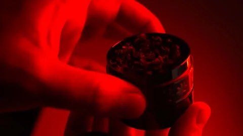 Rotating metal grinder with marijuana buds in mans hands on the red background Stock Footage 106916610