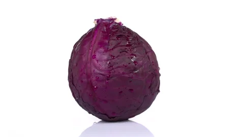 Rotating Mini Red Cabbage Stock Footage 171637909
